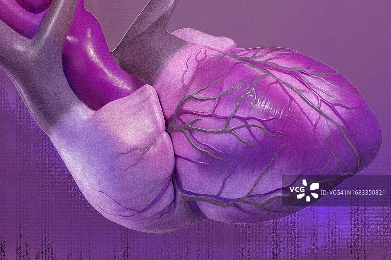 人心，插图图片素材