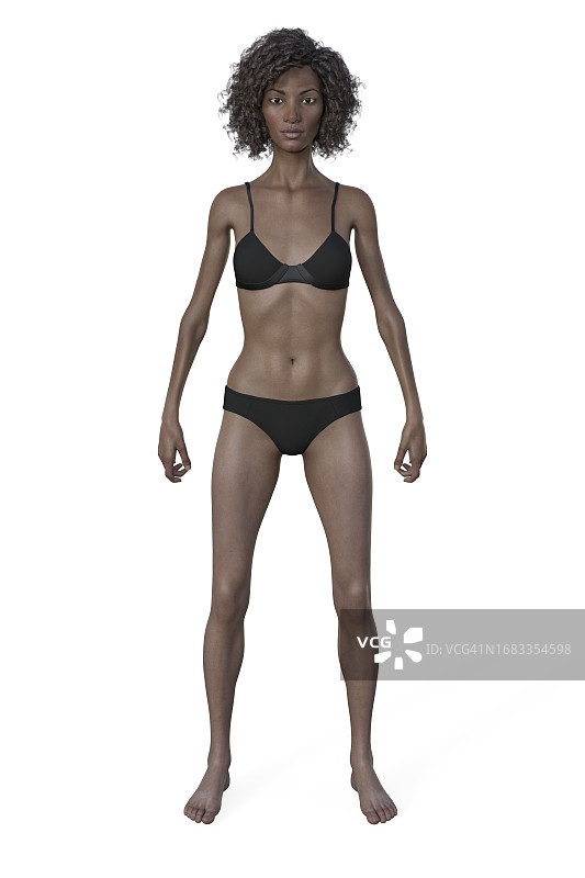 女性纤瘦体型插画图片素材