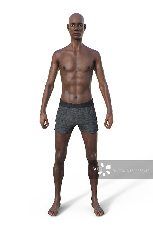 男人瘦型体格插画图片素材