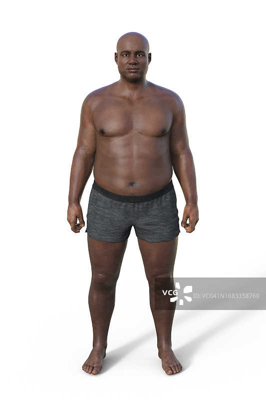 男性内胚型体型，插图图片素材