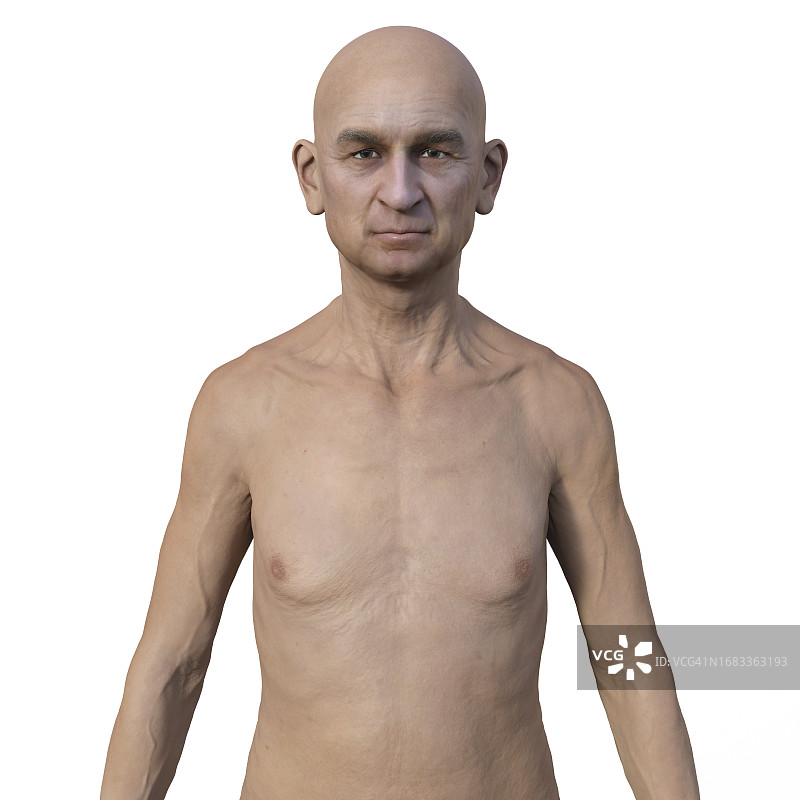 男性上半身插画图片素材