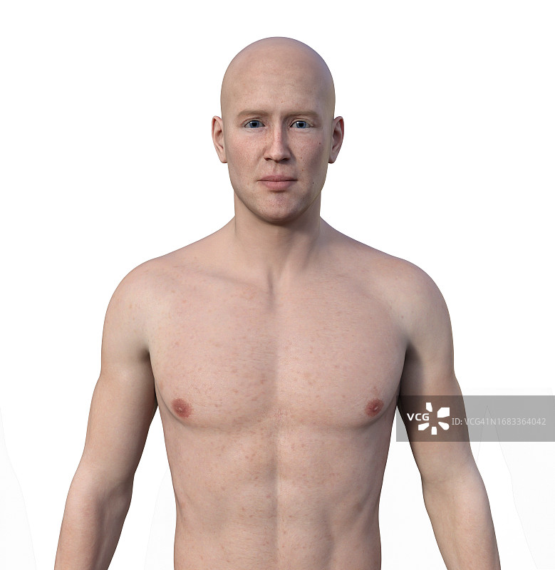 男性上半身插画图片素材