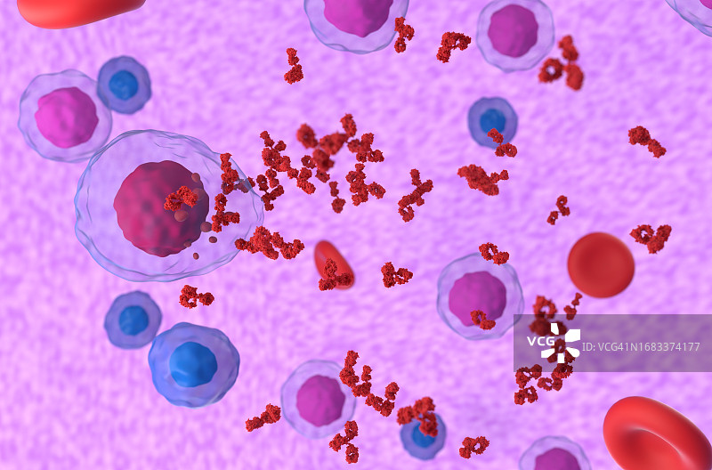 多发性骨髓瘤细胞释放副蛋白，图示图片素材