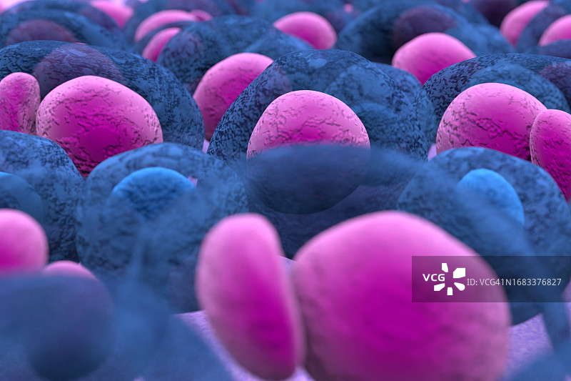 多发性骨髓瘤插图图片素材