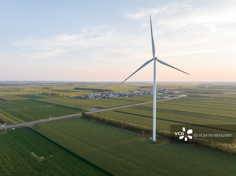 清晨稻田里的风力涡轮机图片素材