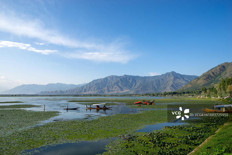 在印度克什米尔达尔湖上划船的宁静男子图片素材