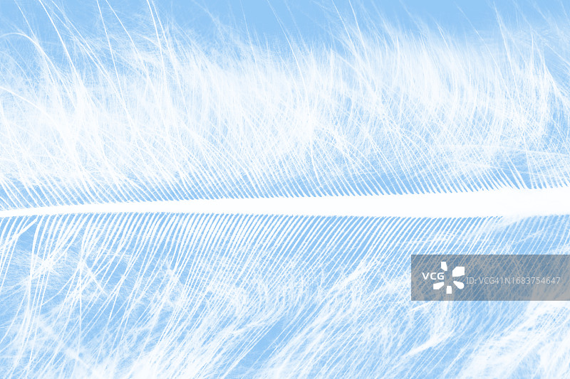 蓝色背景上的彩色转化白色羽绒图片素材