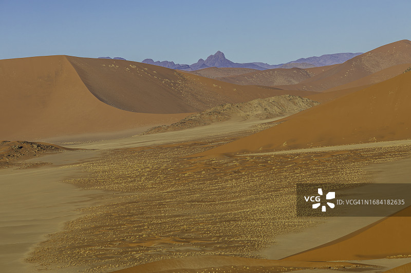 纳米比亚纳米布沙漠的沙丘和沙地景观图片素材