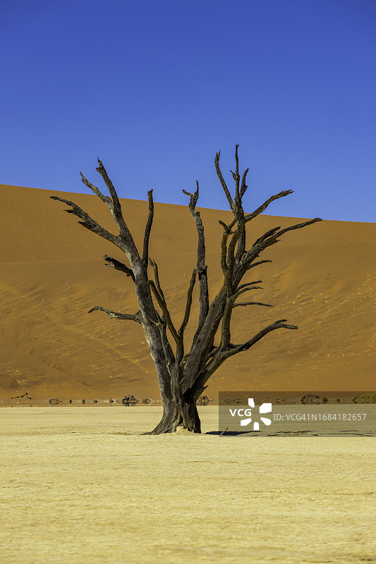 纳米比亚死亡谷：纳米布-诺克路夫国家公园图片素材