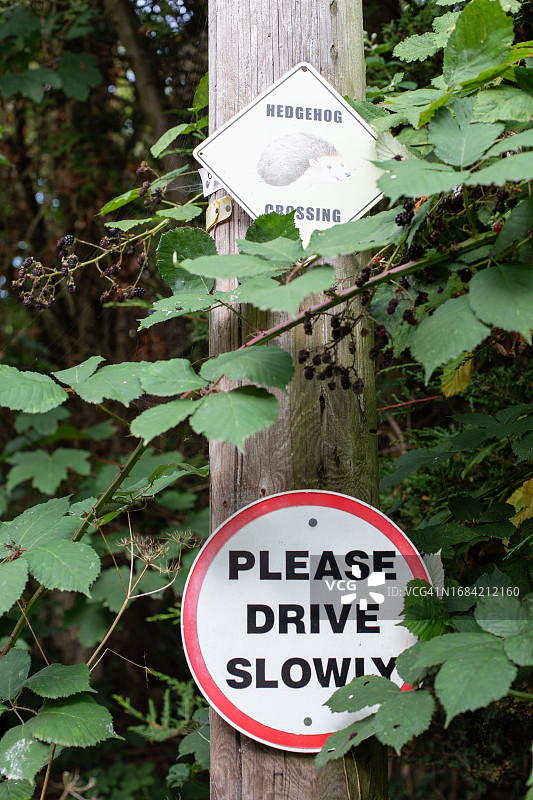 刺猬过路标志图片素材