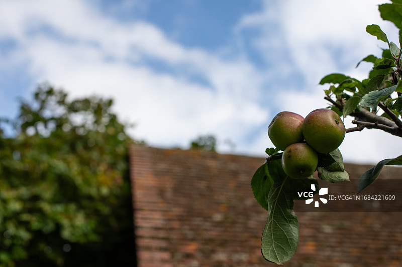 牛津郡生活图片素材