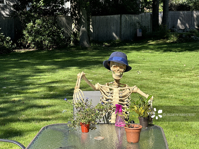 骷髅先生照料植物图片素材