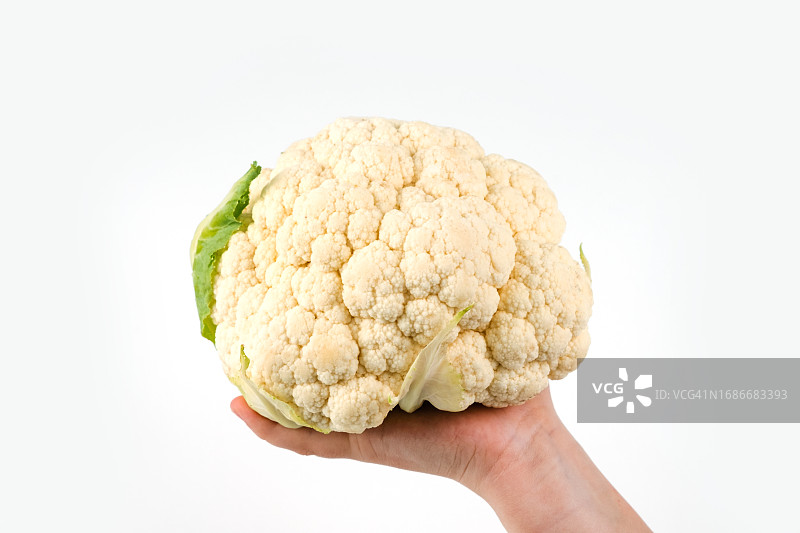 白色背景上的花椰菜图片素材