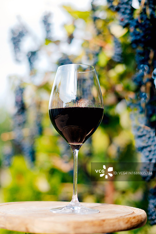 户外桌子上的葡萄和葡萄酒杯图片素材