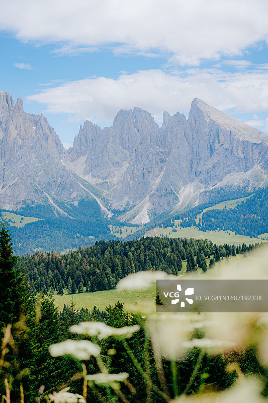 意大利多洛米蒂山阿尔卑斯山锡瑟尔阿尔姆美景图片素材