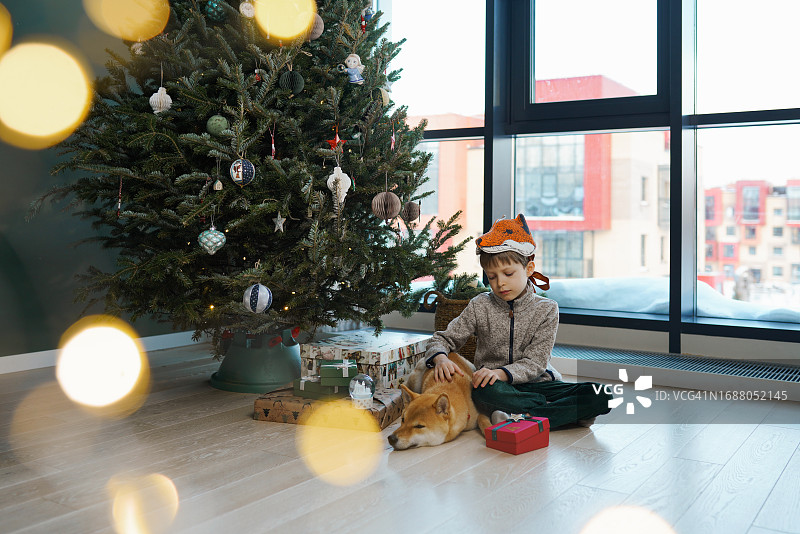 戴狐狸面具的可爱男孩和他的姜黄色小狗朋友等待圣诞老人图片素材