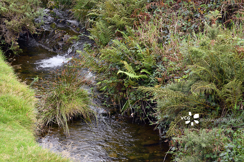 清凉的瞬间图片素材