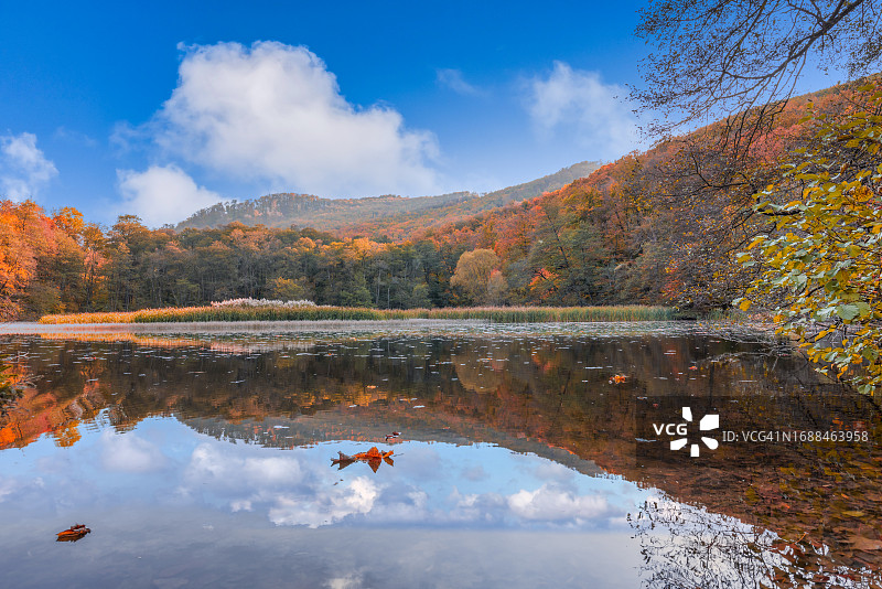 秋季湖泊：平静的倒影与多彩的森林图片素材