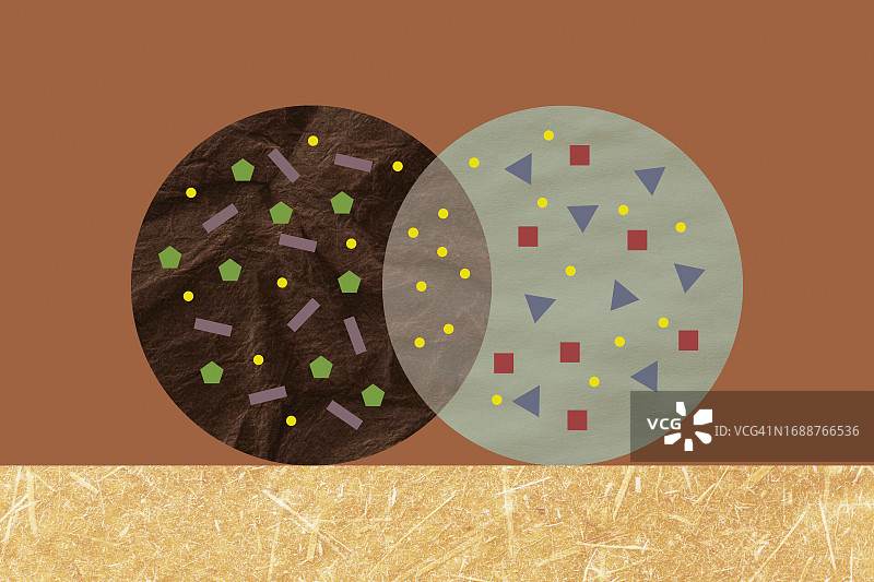 摄影纹理和几何形状组成的维恩图图片素材