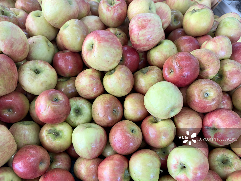 全画幅苹果图片素材