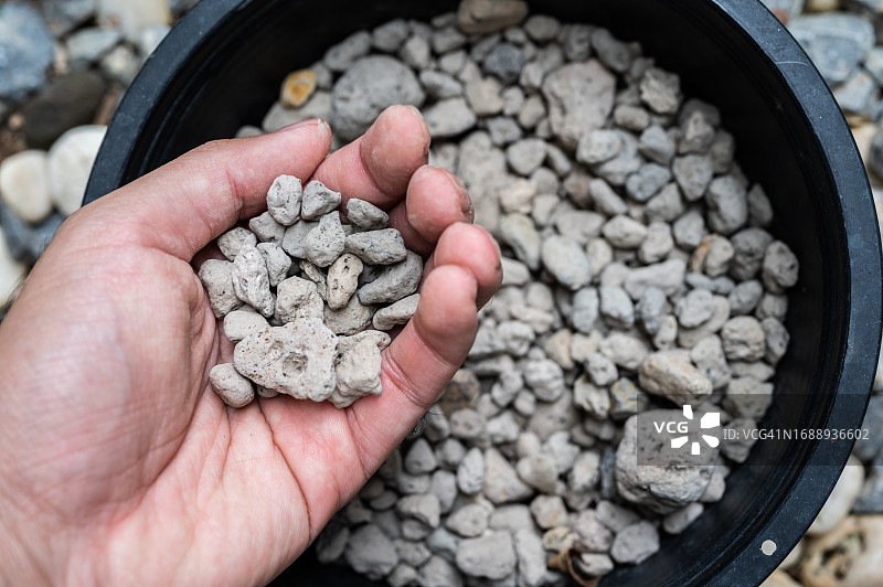 往花盆里填火山岩图片素材