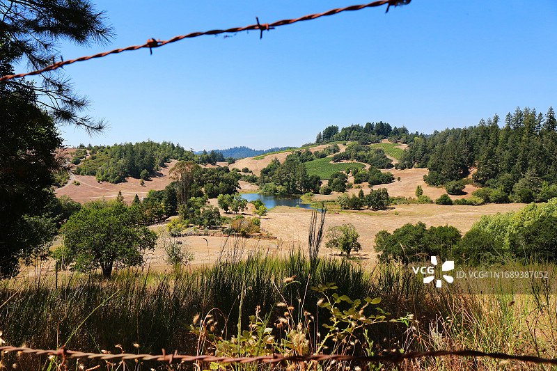 索诺玛海岸葡萄园图片素材