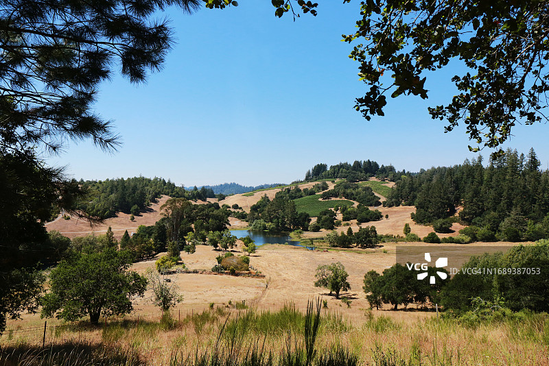 索诺玛海岸葡萄园图片素材