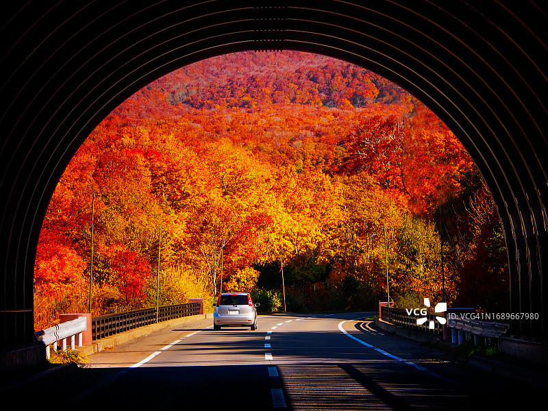 你好，秋天！图片素材