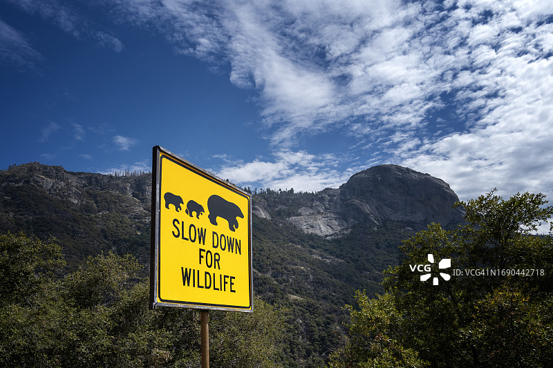 美国加利福尼亚州道路上的野生动物减速提示图片素材