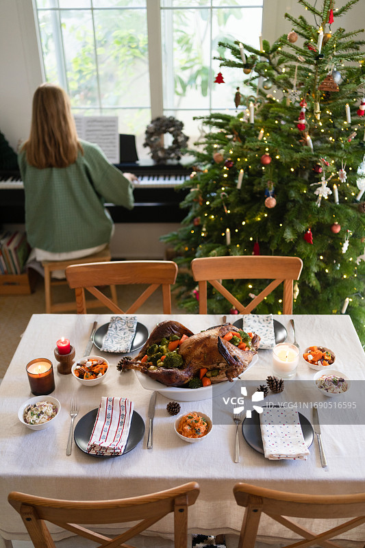 圣诞晚餐：酿火鸡和配菜，圣诞树背景图片素材