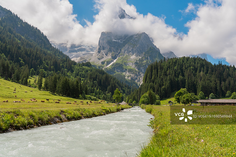 瑞士伯尔尼莱辛巴赫河，水源来自罗森劳伊冰川，于Gschwandtenmaad观景点拍摄图片素材