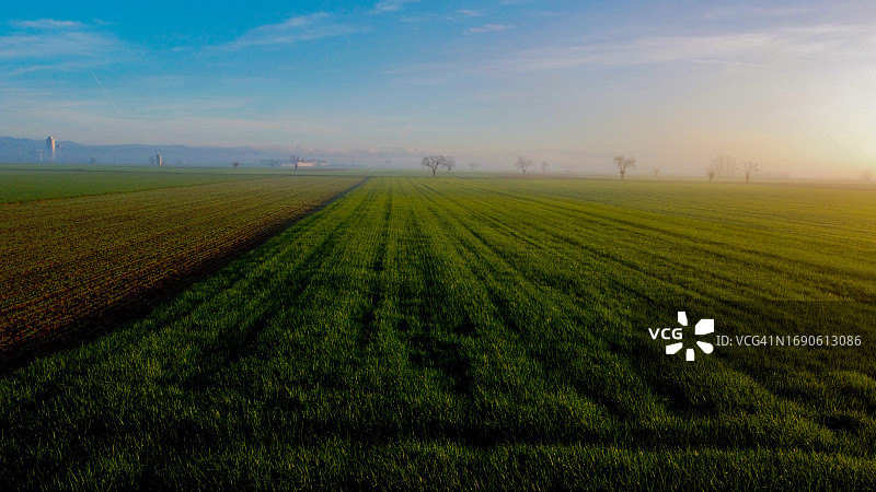 意大利皮埃蒙特区亚历山德里亚省马伦戈镇农田图片素材