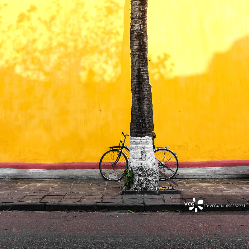 石灰墙椰子树旁的黑色自行车图片素材