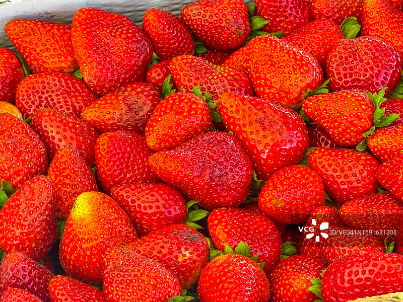 特美谷草莓特写图片素材