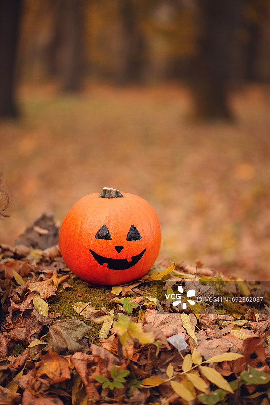 森林中万圣节用的带可爱恐怖笑容的橙色南瓜图片素材
