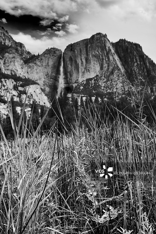 美国加利福尼亚州约塞米蒂国家公园埃尔卡皮坦草甸图片素材