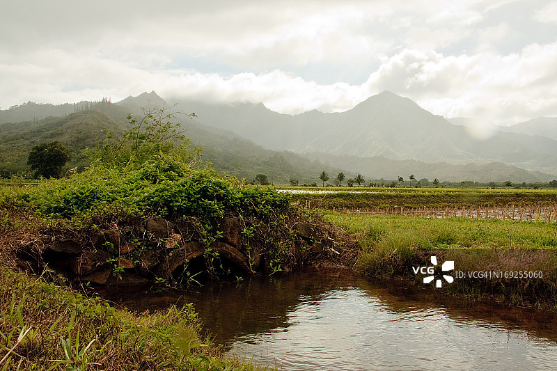 哈纳雷山谷灌溉沟渠上的小桥图片素材