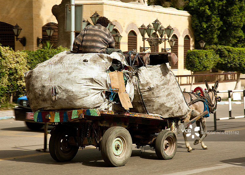 开罗街景：马车上的科普特垃圾回收图片素材