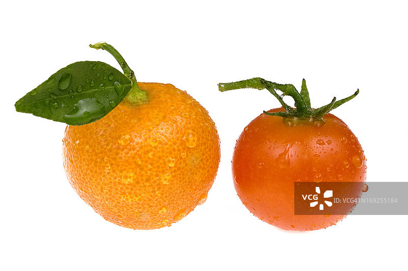 橘子、四季桔和小番茄图片素材