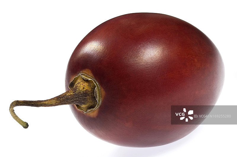 白色背景下的单颗树番茄图片素材