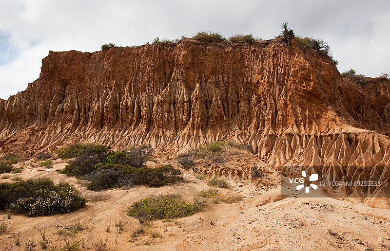 托里松山坡上砂岩中崎岖的刀锋状侵蚀图片素材