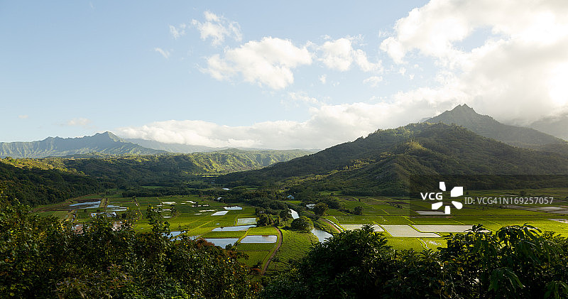 考艾岛哈纳雷山谷全景图片素材