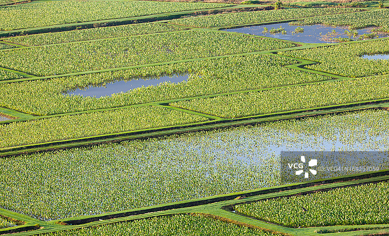 可爱岛哈纳莱山谷图片素材