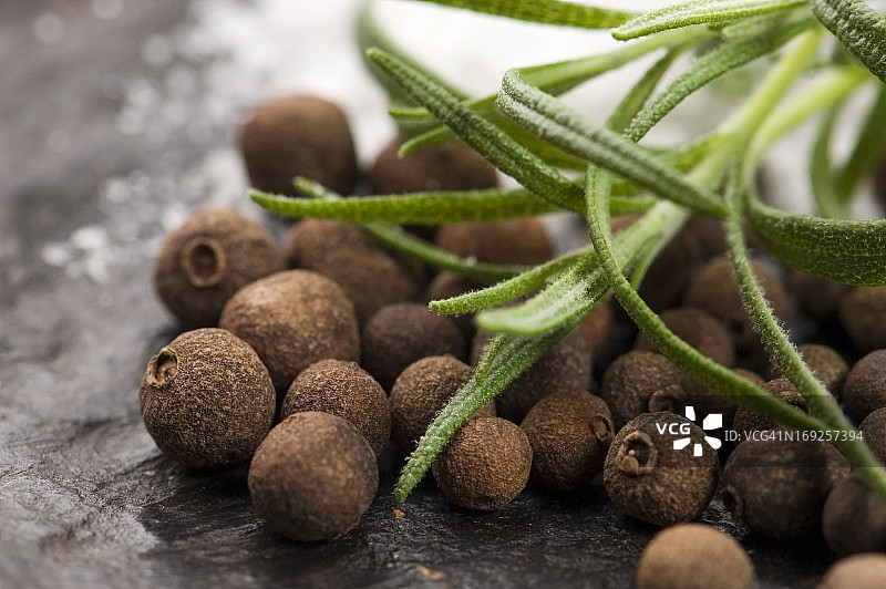 多香果与新鲜迷迭香图片素材