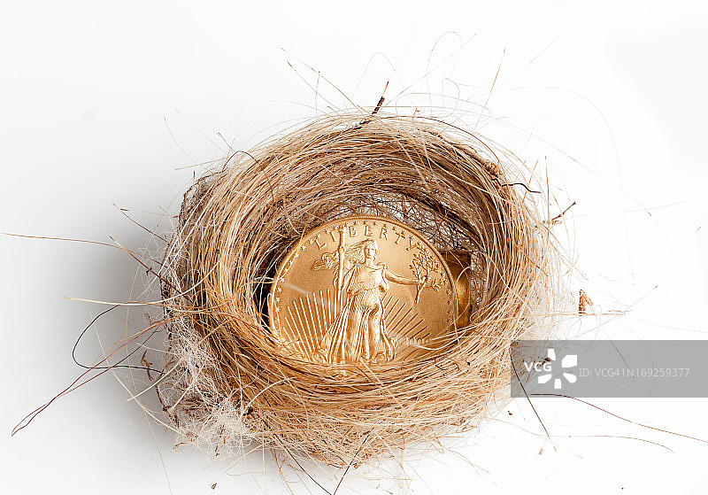 带有金币的鸟巢图片素材