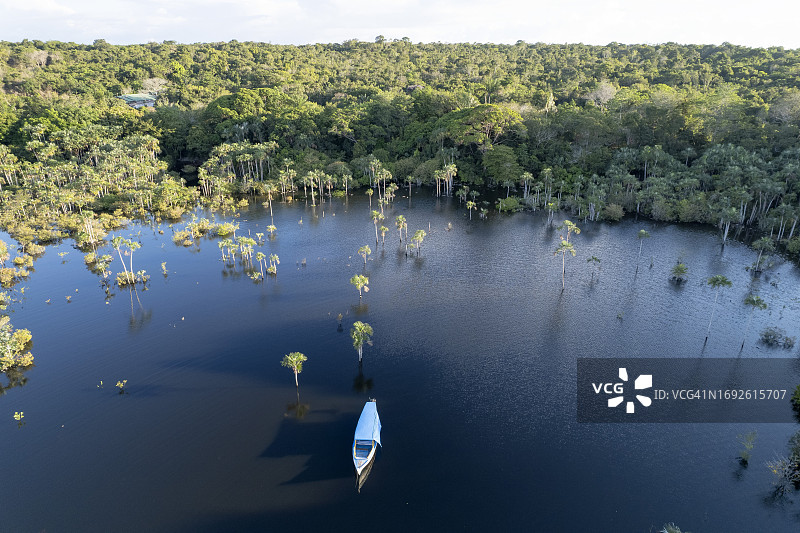 从上方看亚马逊图片素材