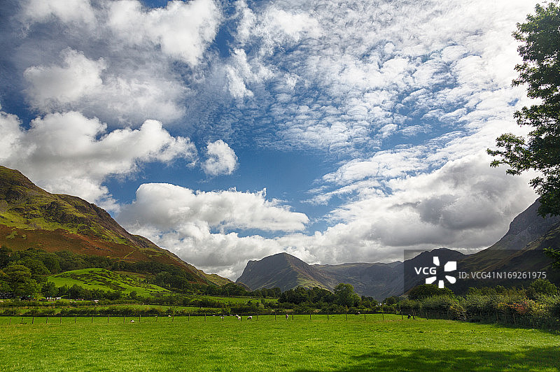 在巴特米尔湖区附近吃草的羊群图片素材