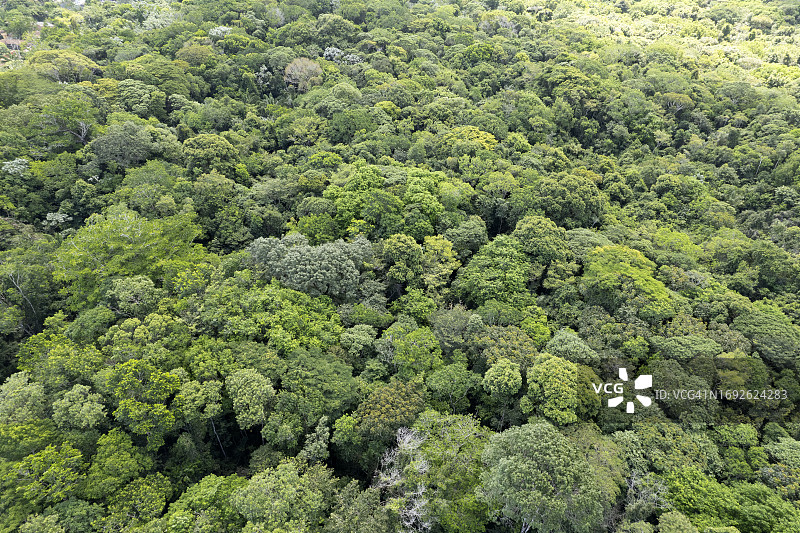 从上方俯瞰亚马逊 - 巴西图片素材