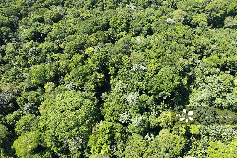 从上方看亚马逊图片素材