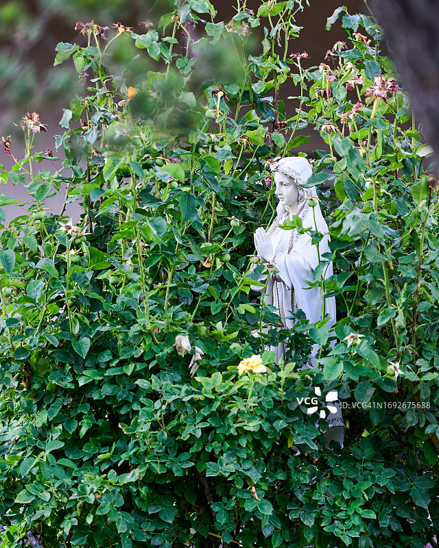 阿尔伯克基图片素材